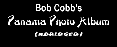 Bob Cobb's photo album