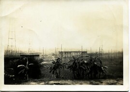 MediuThe Bombproof photo